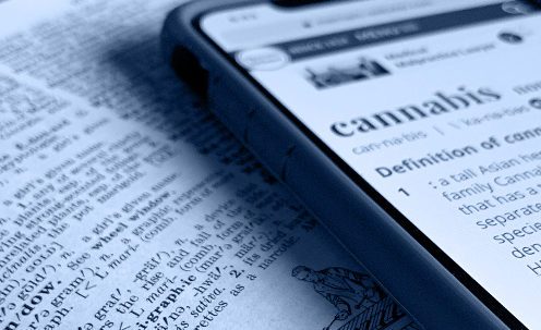 Canna Phone